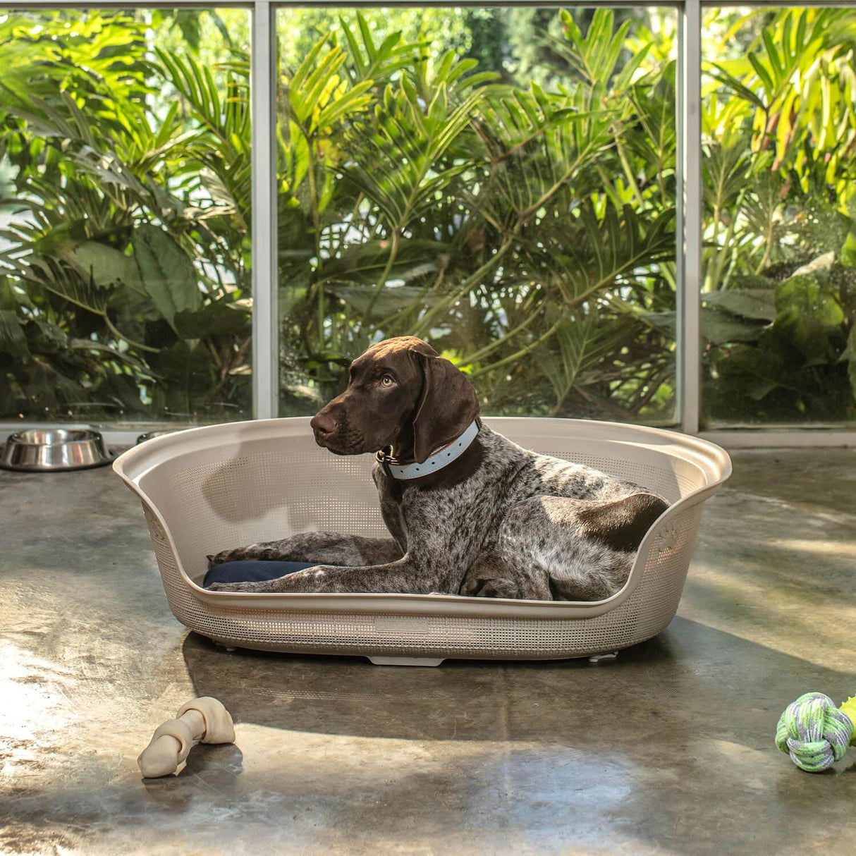 jpg_1500x1500_59931707