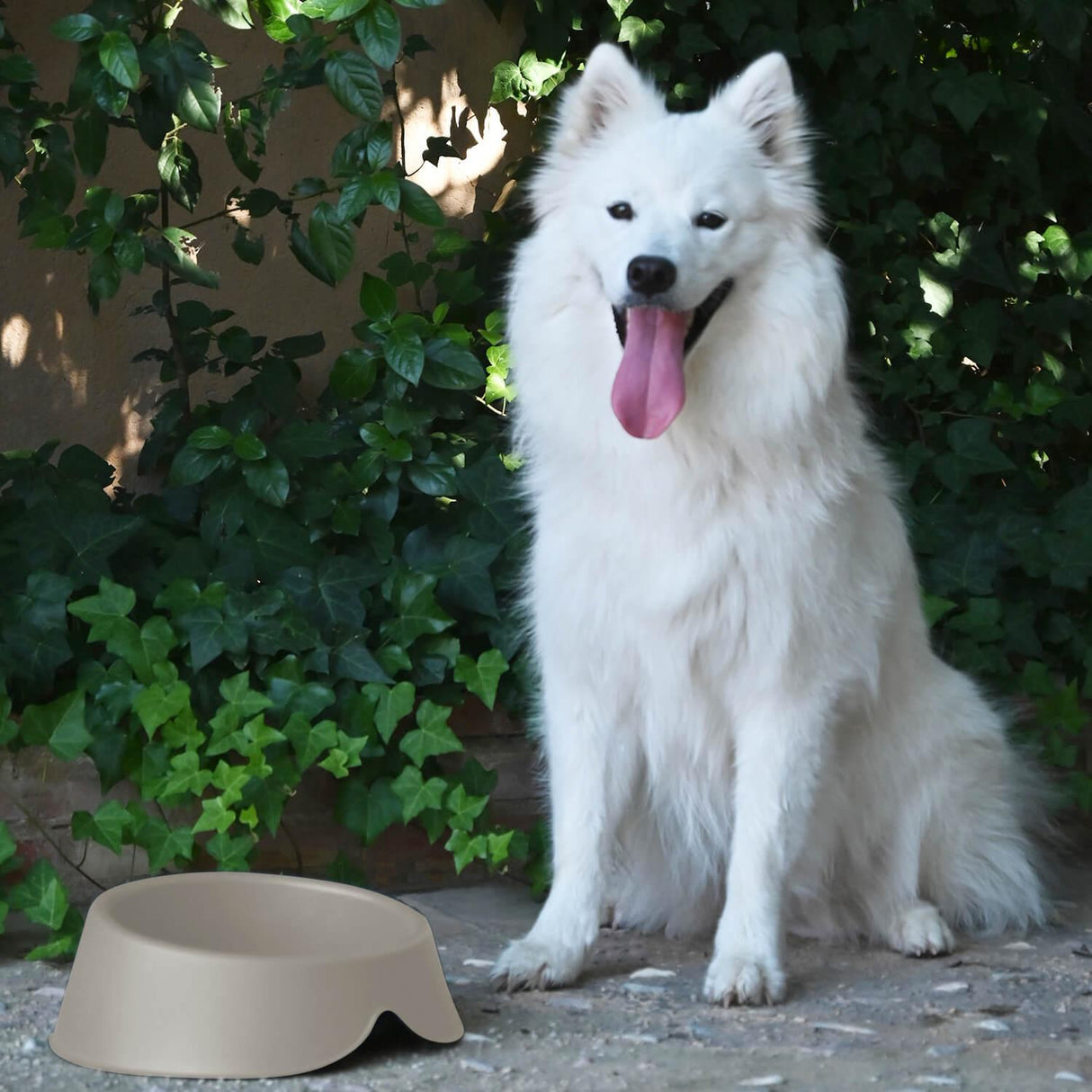 jpg_1500x1500_62880587