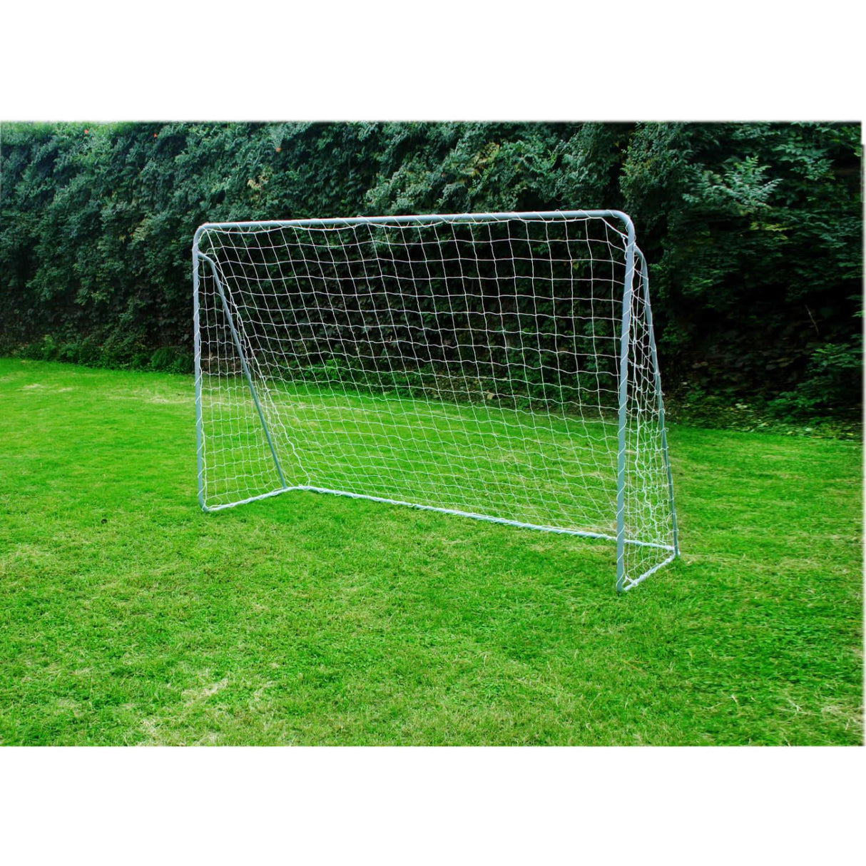 jpg_1500x1500_60181811