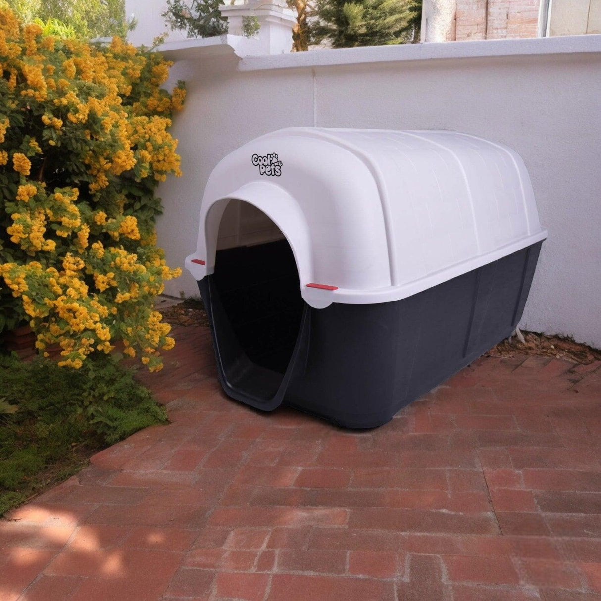 jpg_1500x1500_59931637