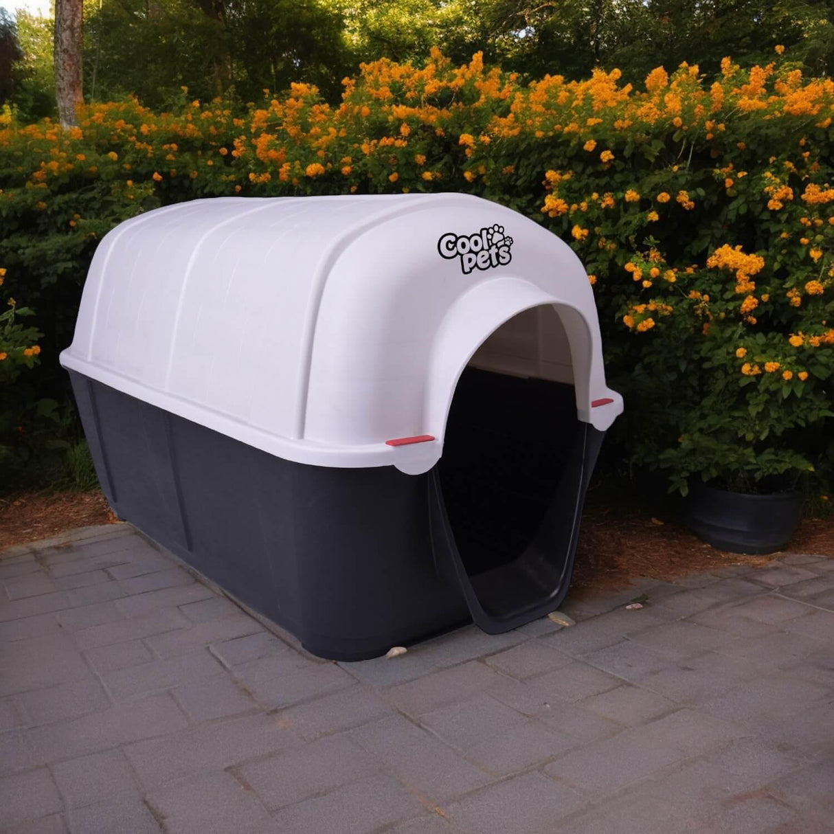 jpg_1500x1500_59931624