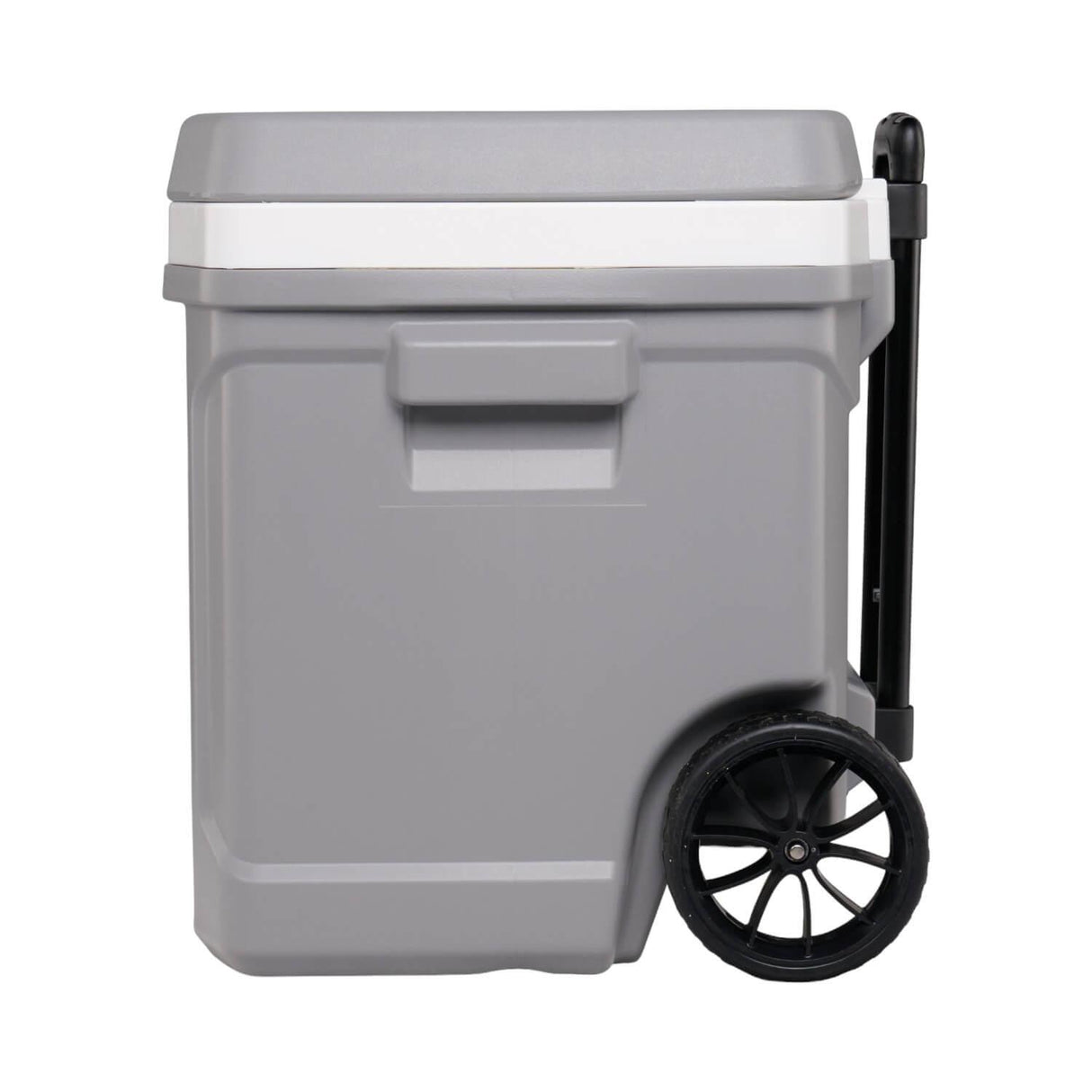 jpg_1500x1500_60265508