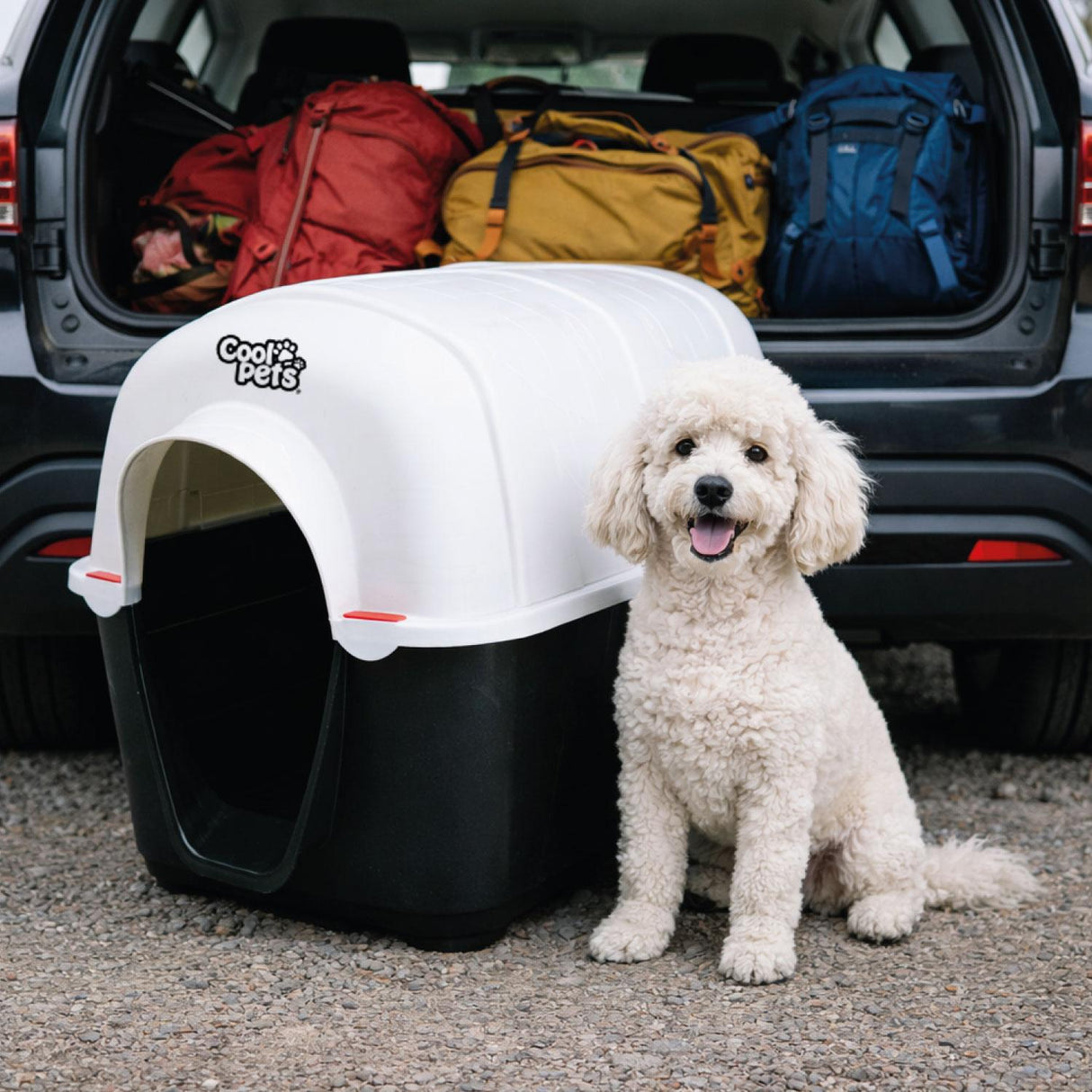 jpg_1500x1500_69053325