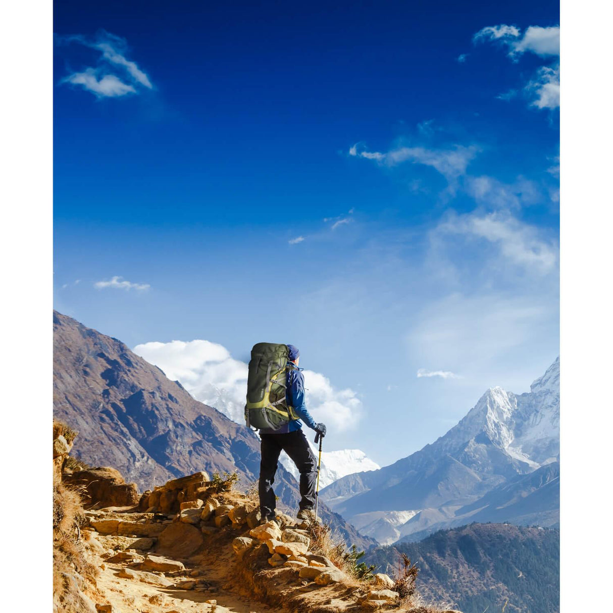 jpg_1500x1500_60211402