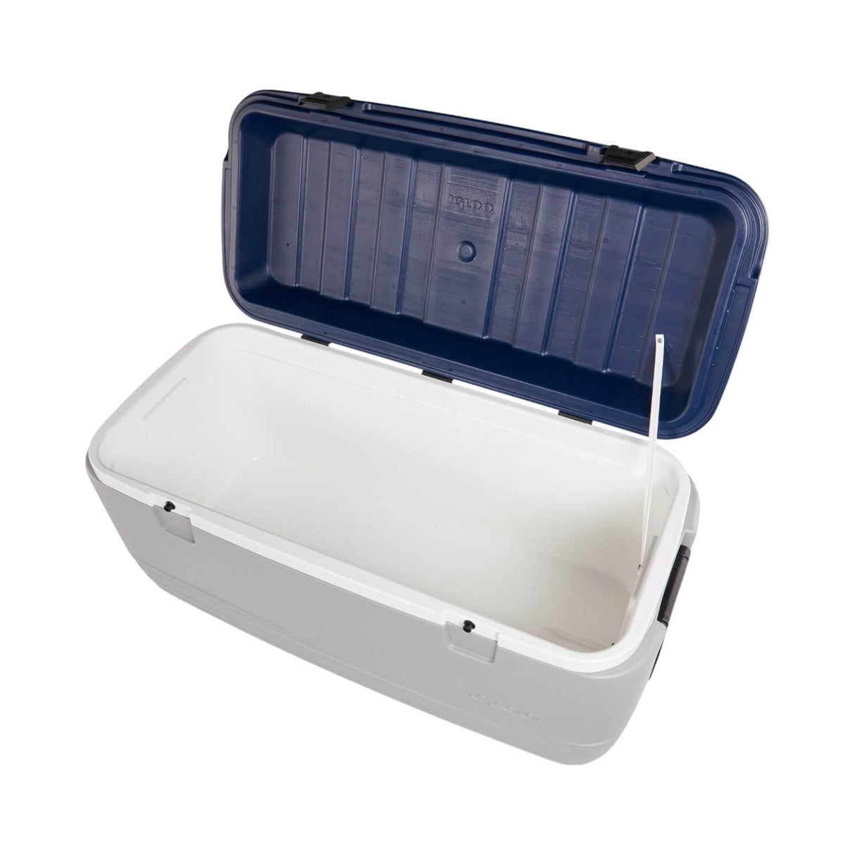 jpg_1500x1500_60265515