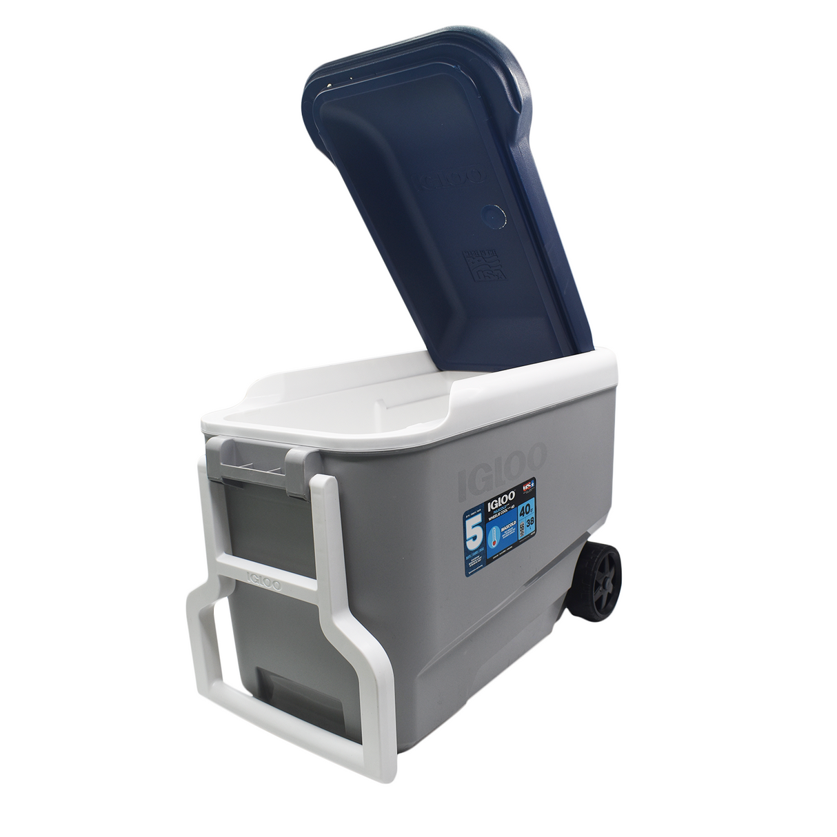 png_1500x1500_60908352