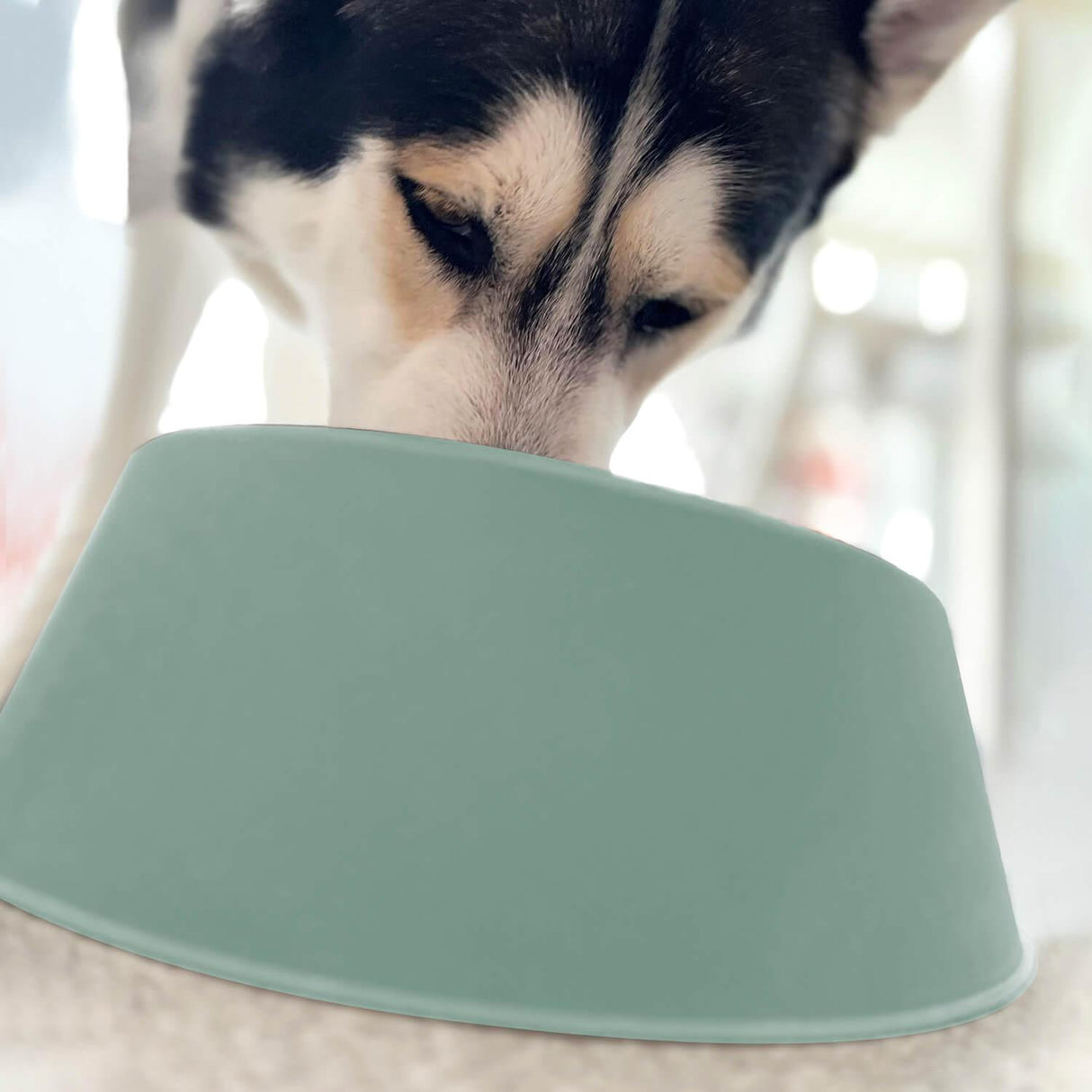 jpg_1500x1500_62880594