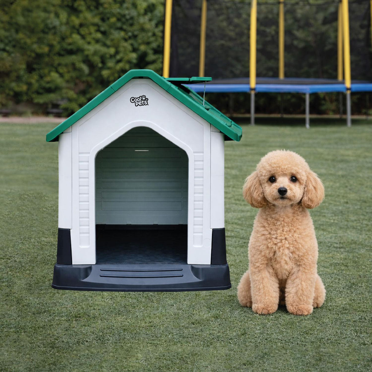 jpg_1500x1500_68642312