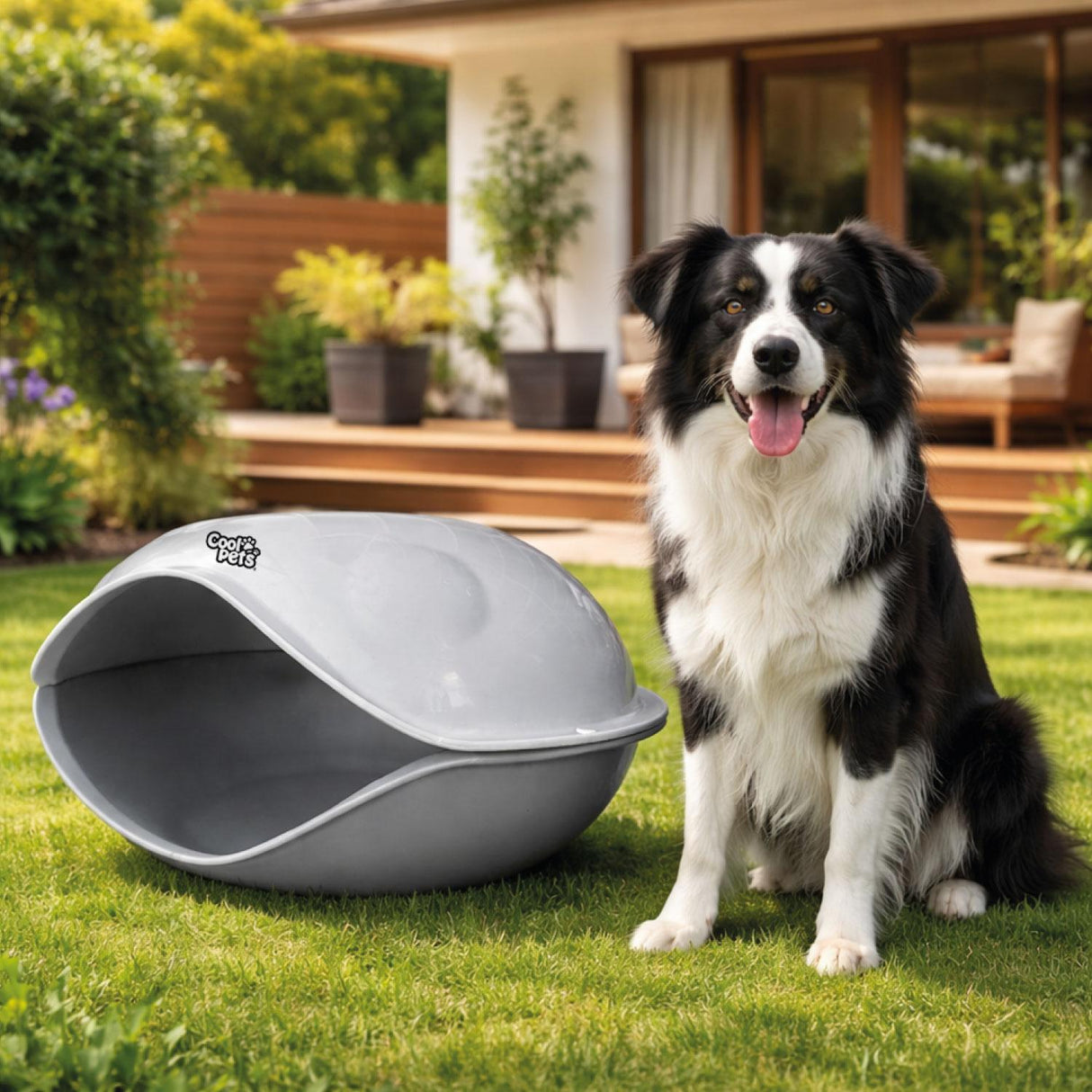 jpg_1500x1500_69122009