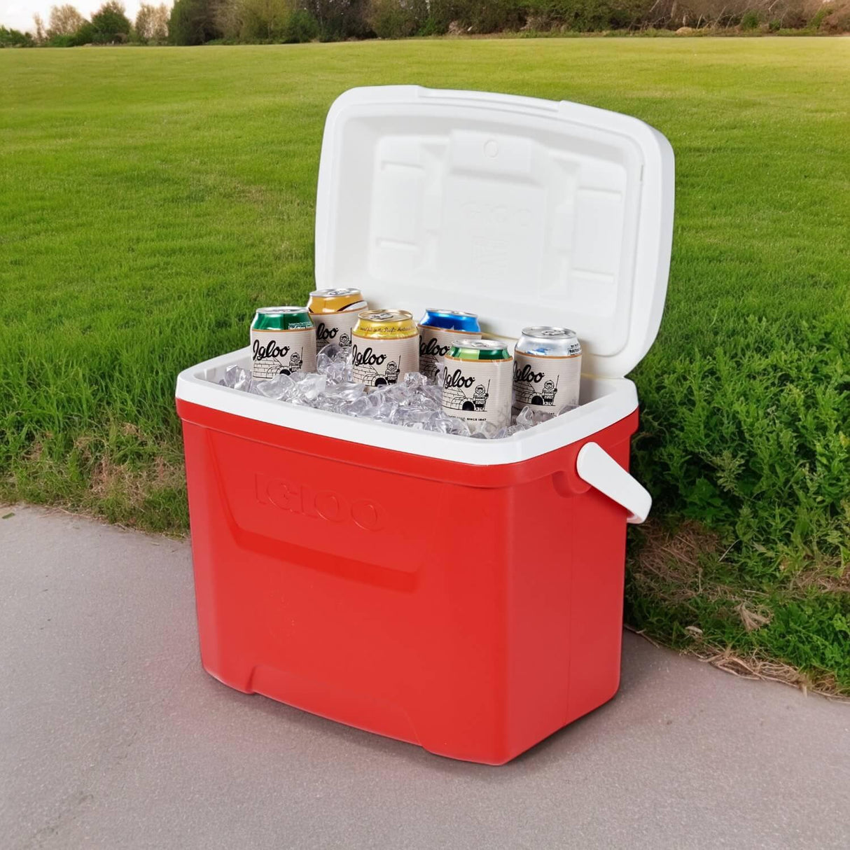 jpg_1500x1500_59935384