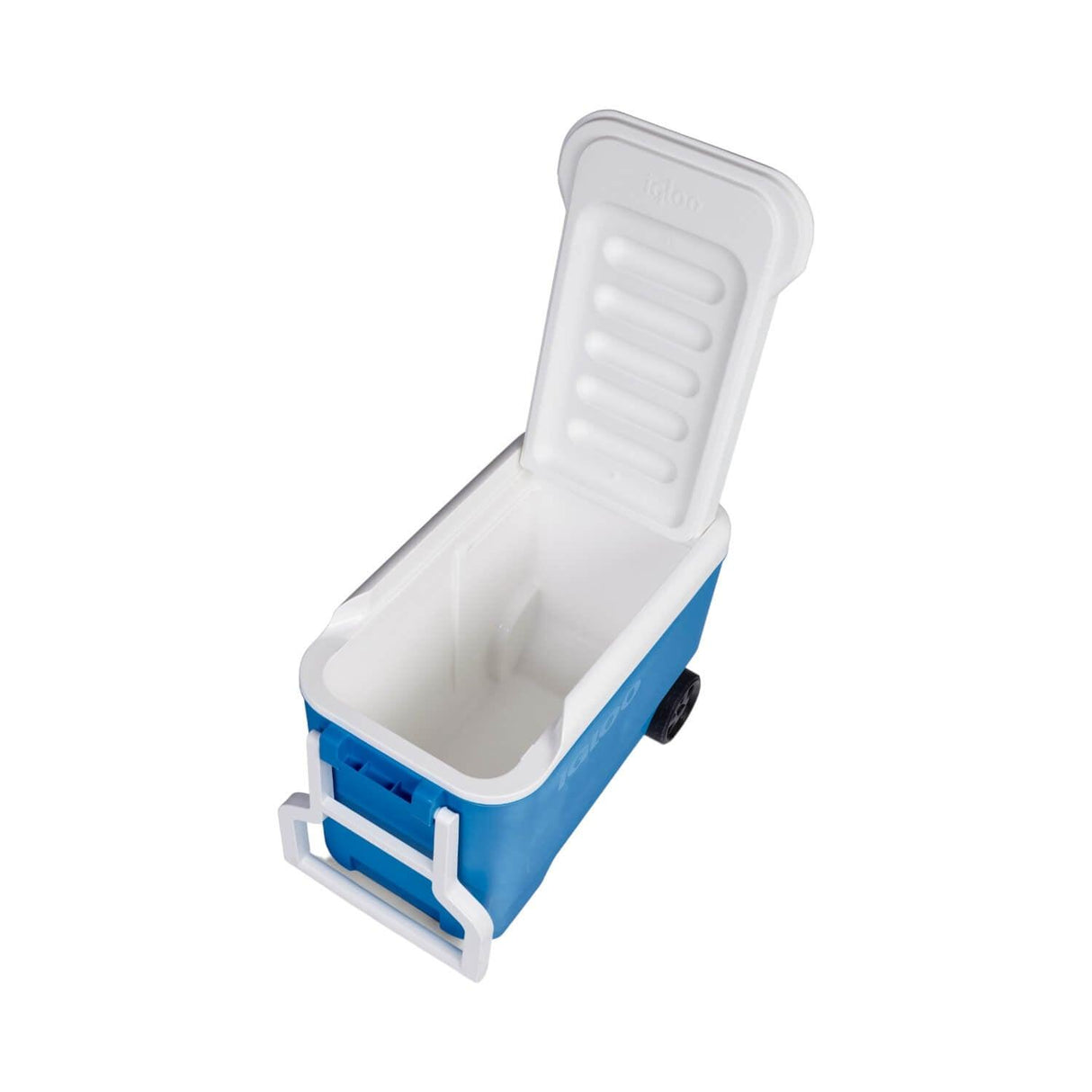 jpg_1500x1500_59935460