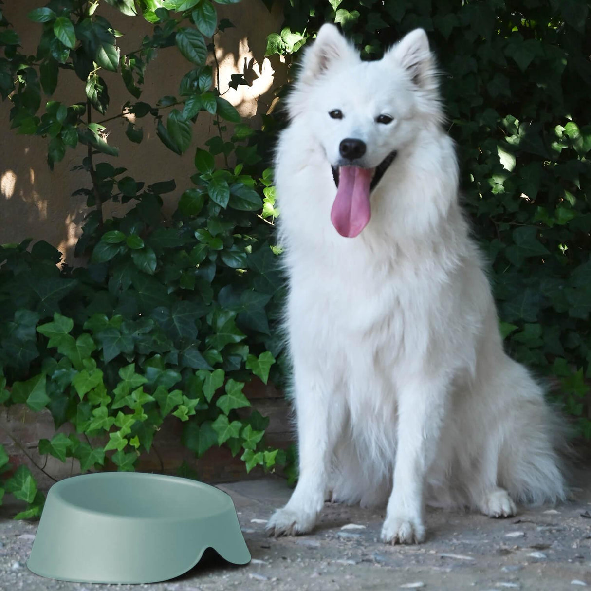 jpg_1500x1500_62880593