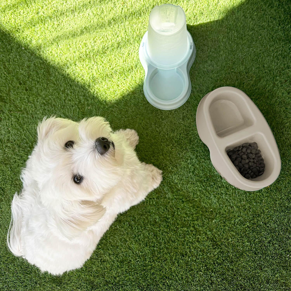 jpg_1500x1500_62880541