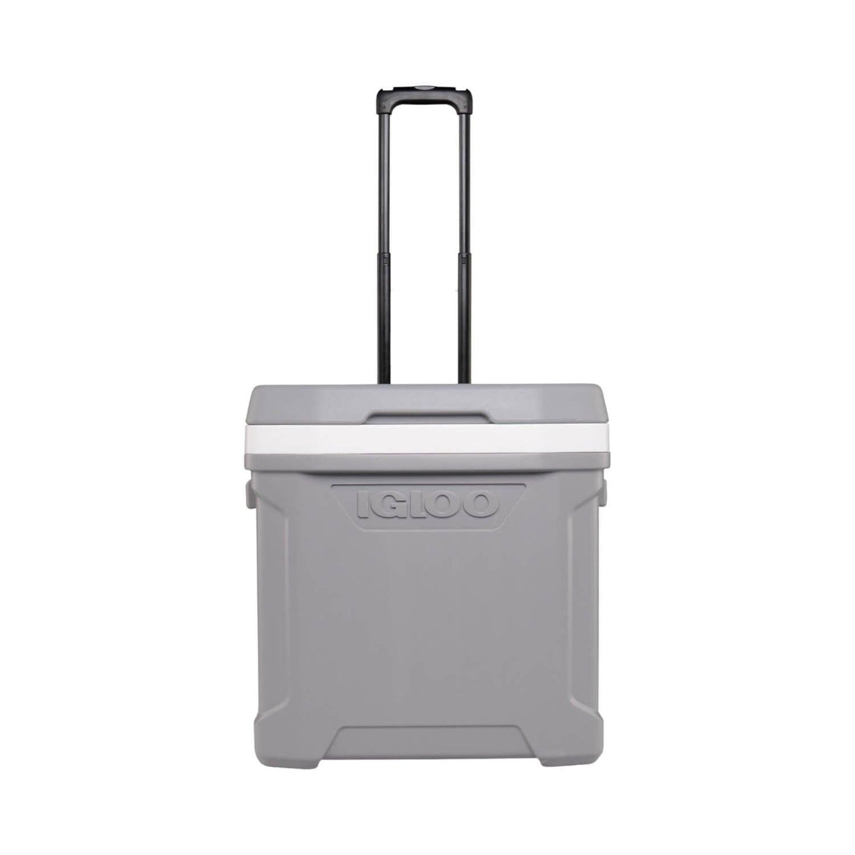 jpg_1500x1500_60265501