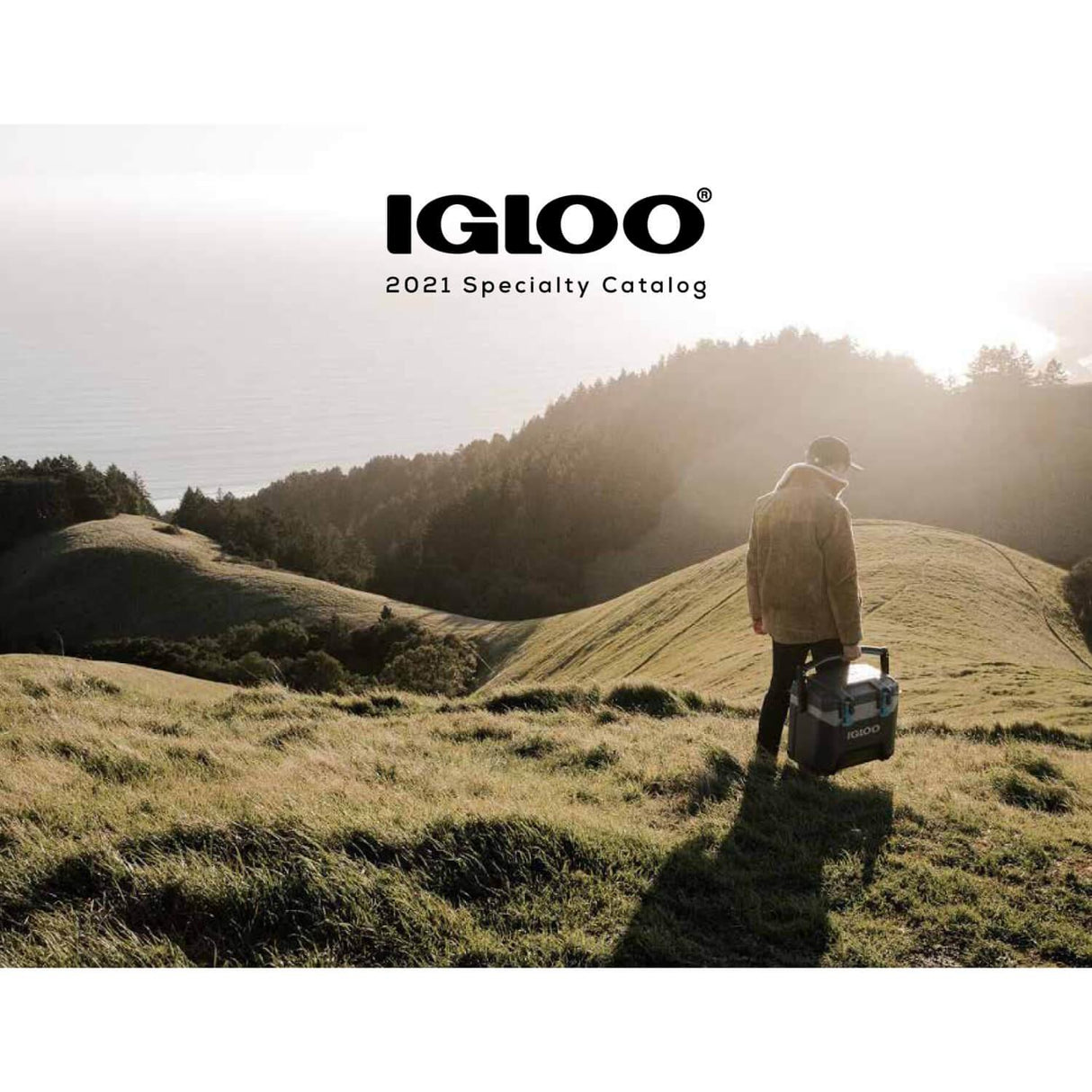 jpg_1500x1500_59933949