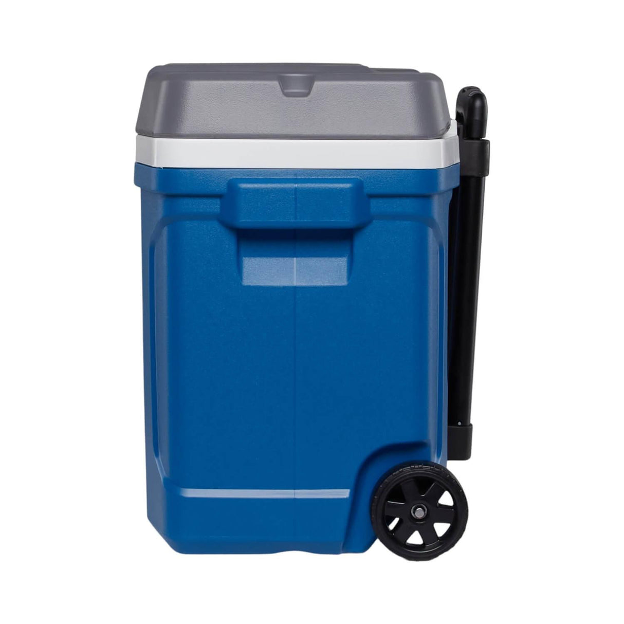 jpg_1500x1500_60256629