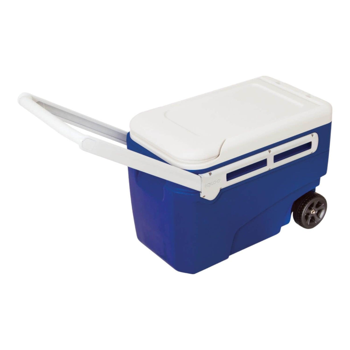 jpg_1500x1500_60144953