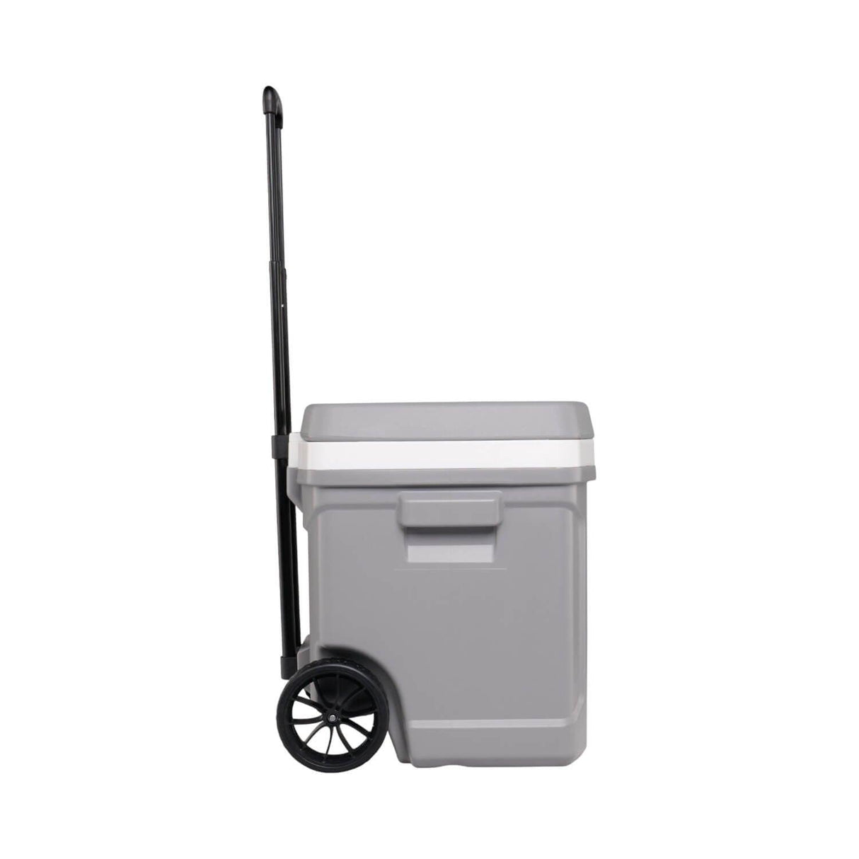 jpg_1500x1500_60265506