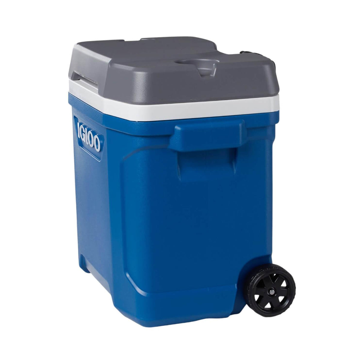 jpg_1500x1500_60256630