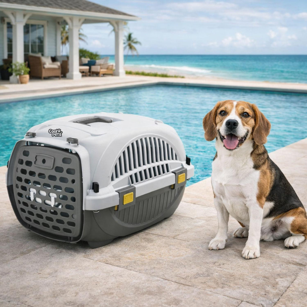 jpg_1500x1500_69053701