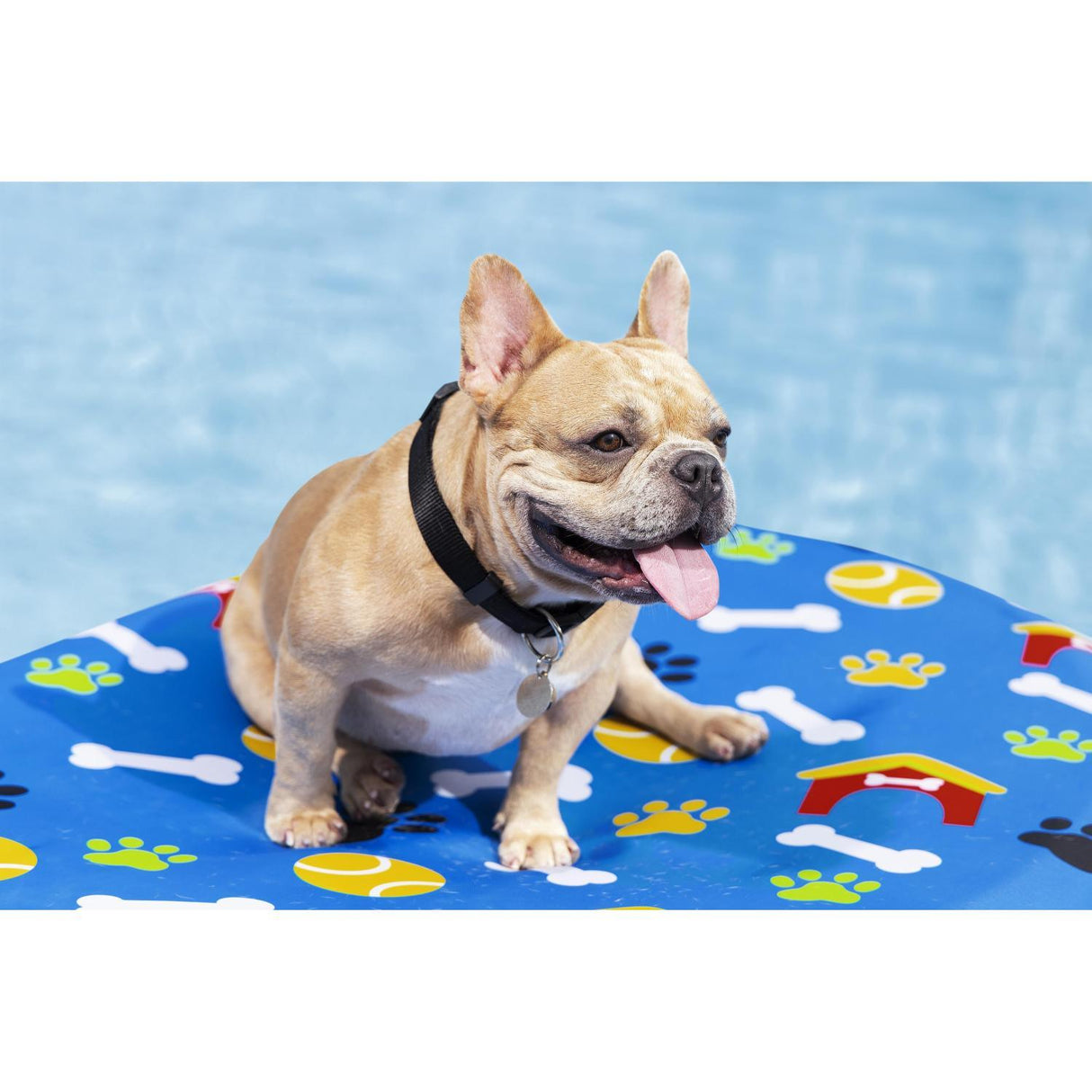 jpg_1500x1500_67603289