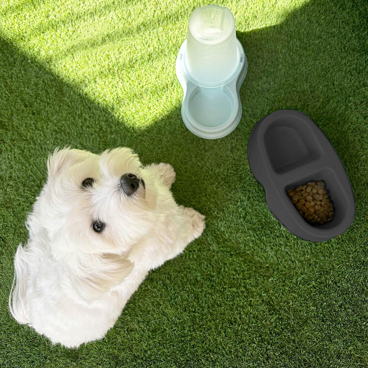 jpg_1500x1500_62880563