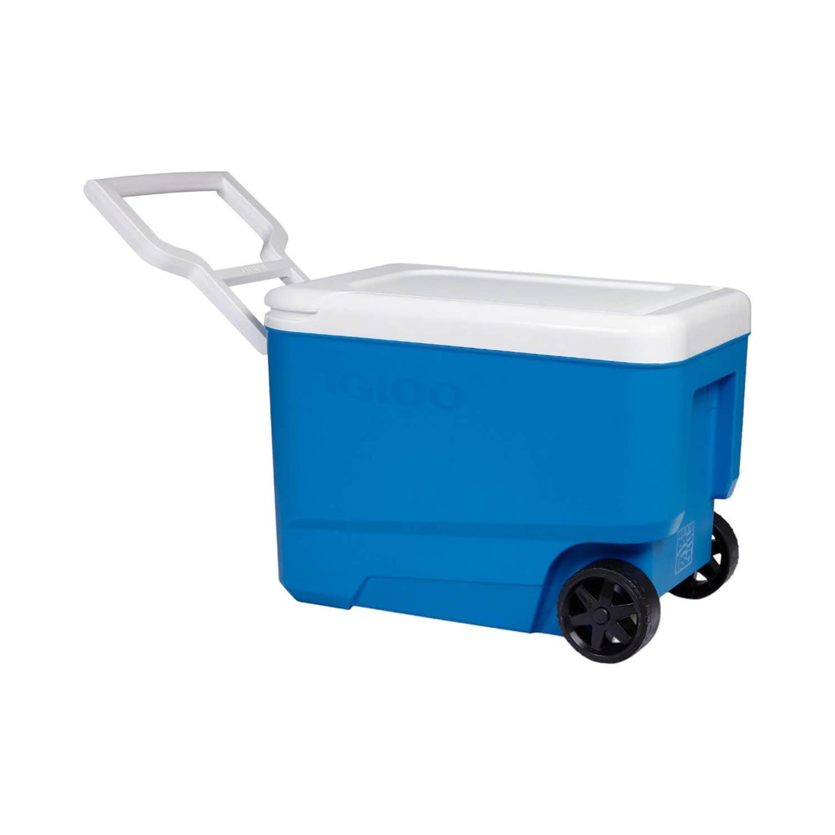 jpg_1500x1500_59935457