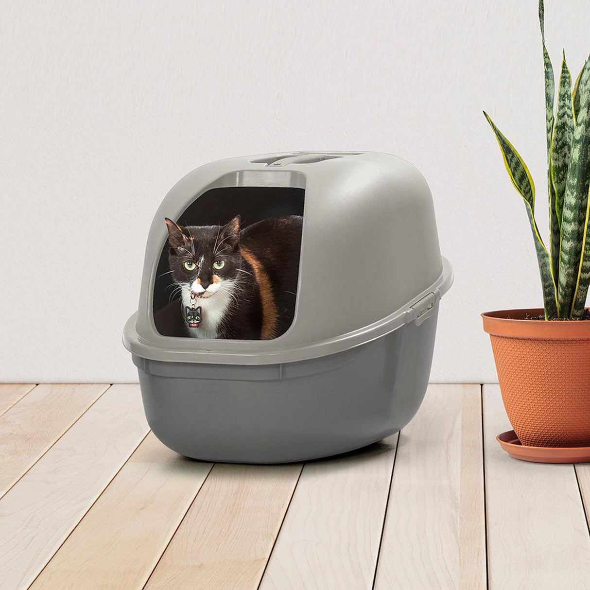 jpg_1500x1500_59931800