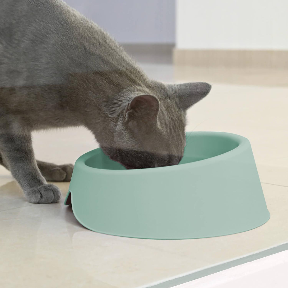 jpg_1500x1500_62880595