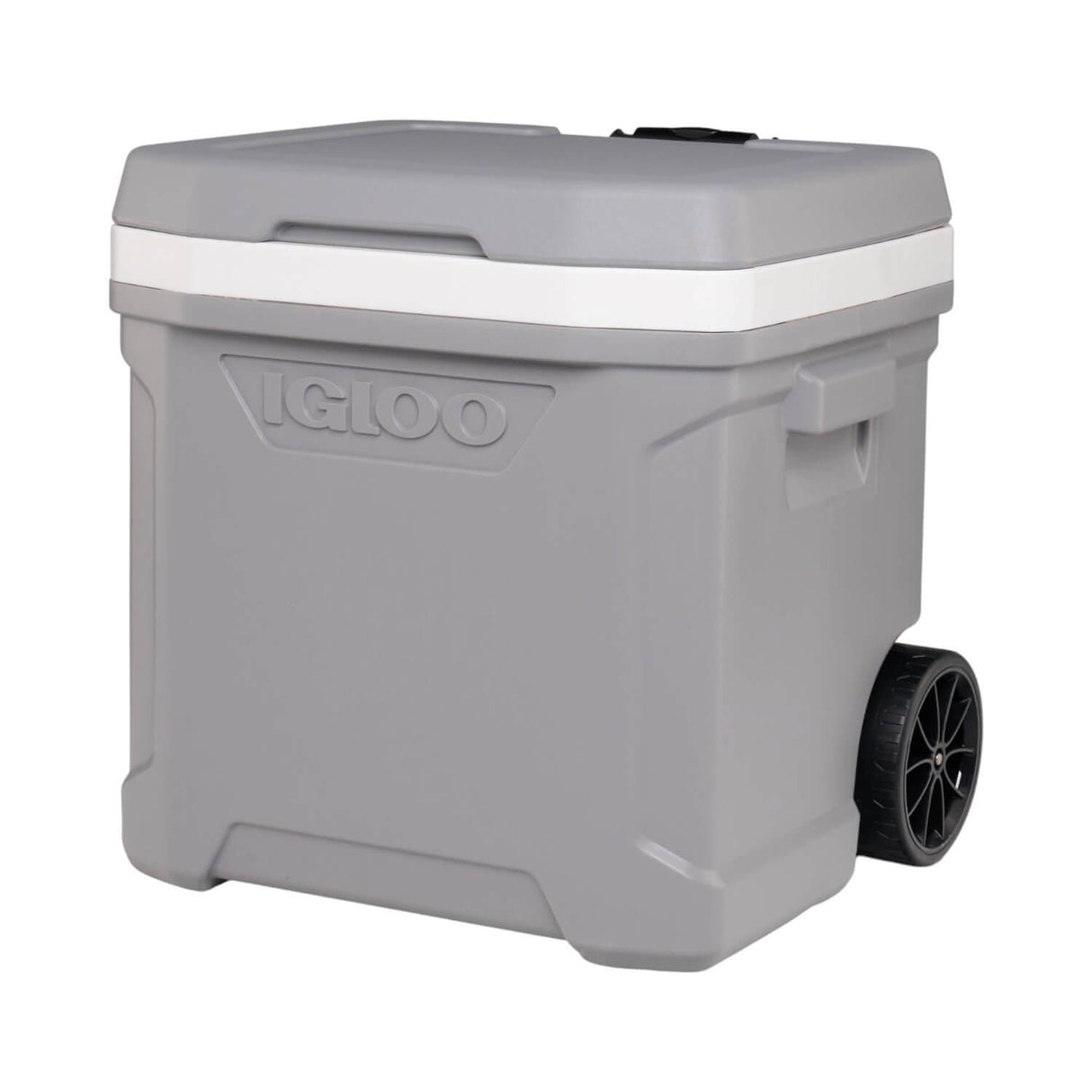 jpg_1500x1500_60265503