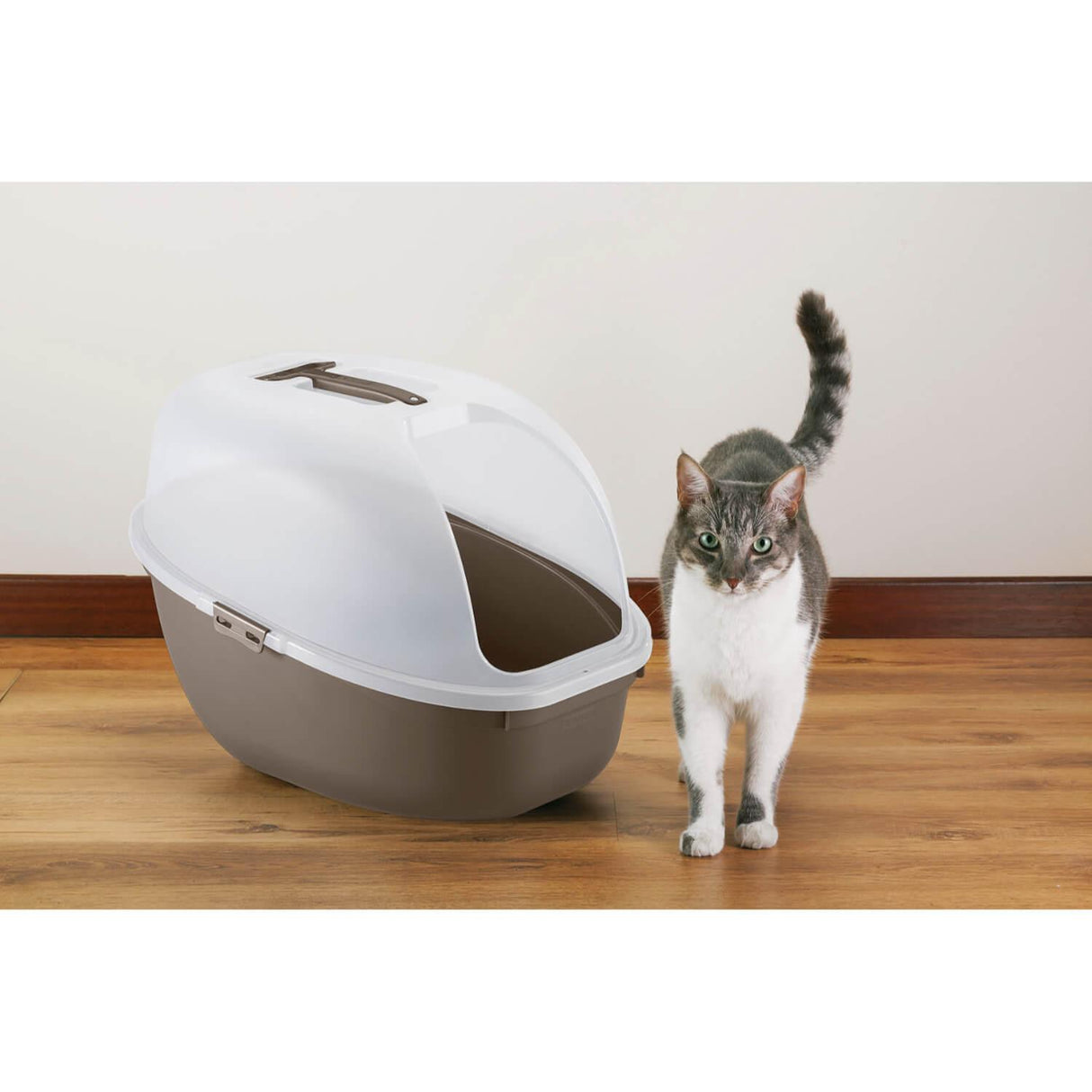 jpg_1500x1500_60260875