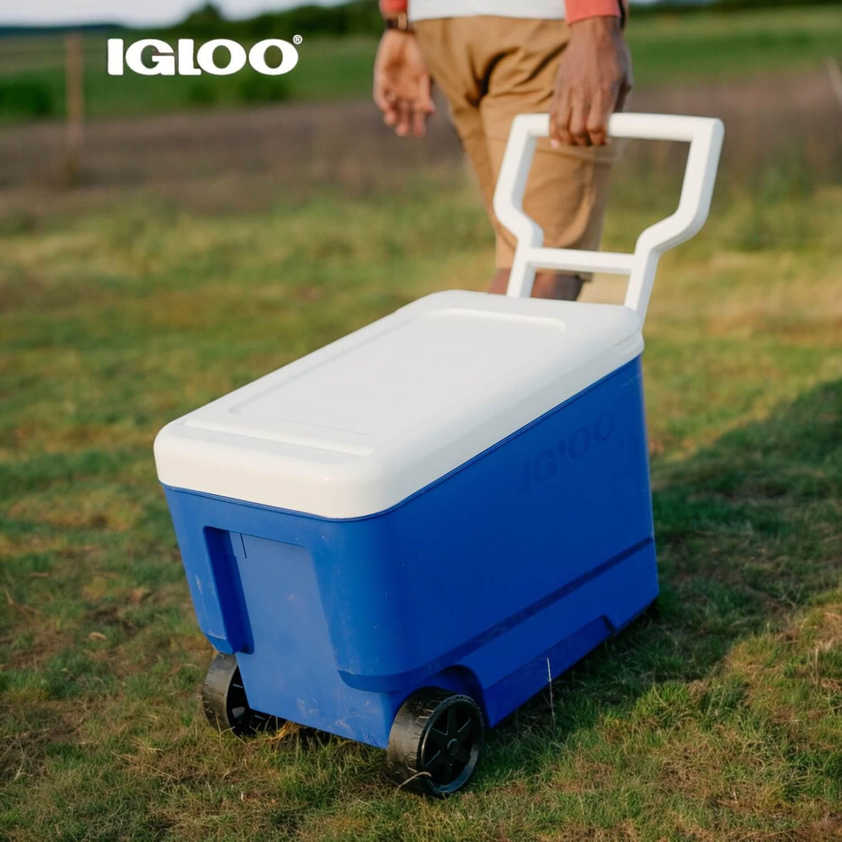 jpg_1500x1500_59935453