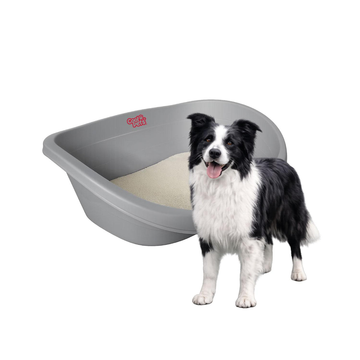 Cama Plastica Gato Perro L con cojin 80x55x25cm Cool Pets