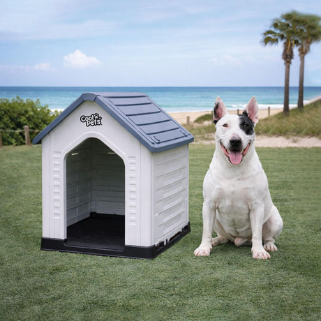 jpg_1500x1500_68642302