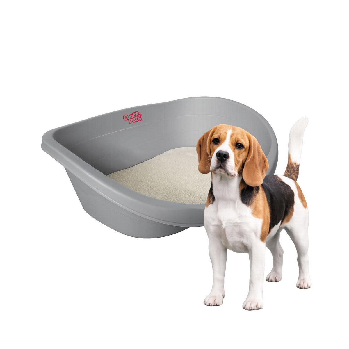 Cama Plastica Gato Perro M con Cojin 62x43x23cm Cool Pets