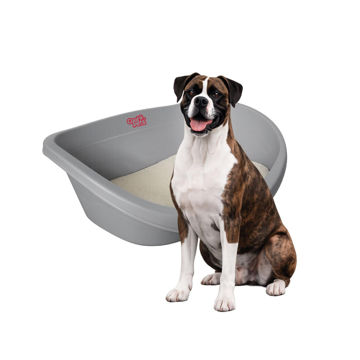 Cama Plastica Gato Perro XL con cojin 100x66x31cm Cool Pets