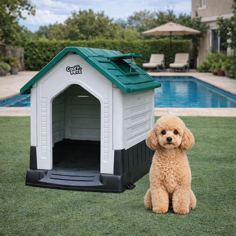 jpg_1500x1500_68642311